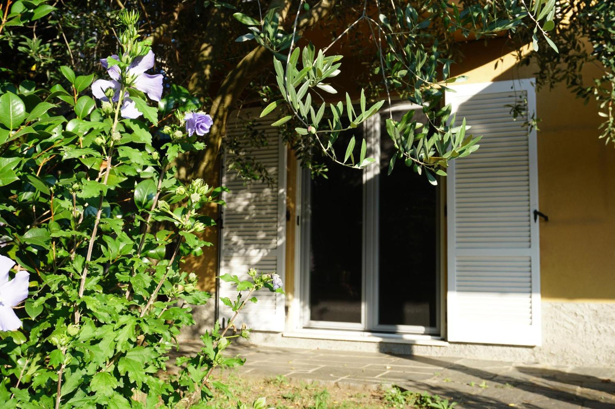 Golden Hill - Big Rooms With Kitchen And Garden Collina d'Oro Dış mekan fotoğraf